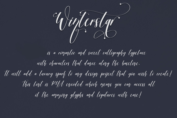 Winterstar Font preview image 2