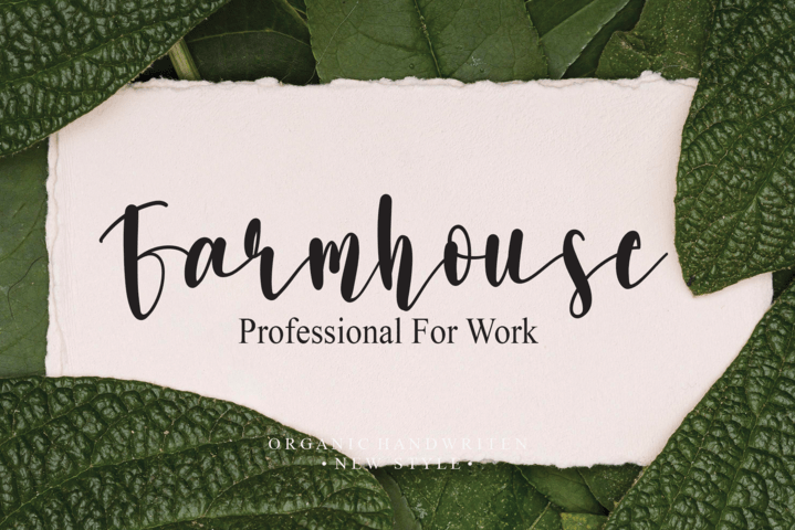 Signature Typeface preview image 2