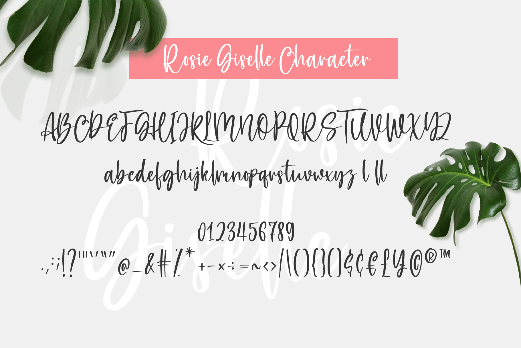Rosie Giselle Font preview image 3
