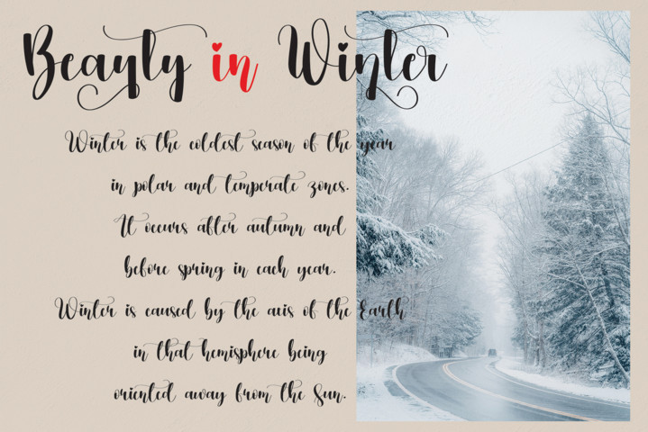 Winterlove Font preview image 3