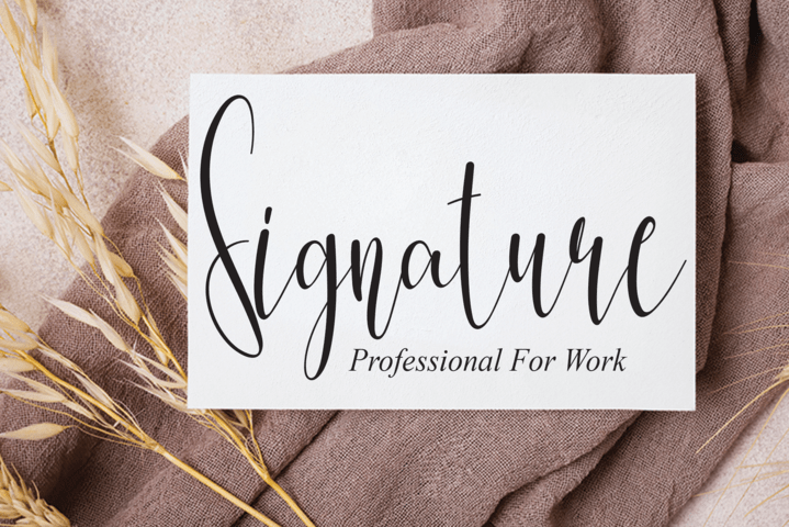 Amsterdam Script Typeface preview image 3