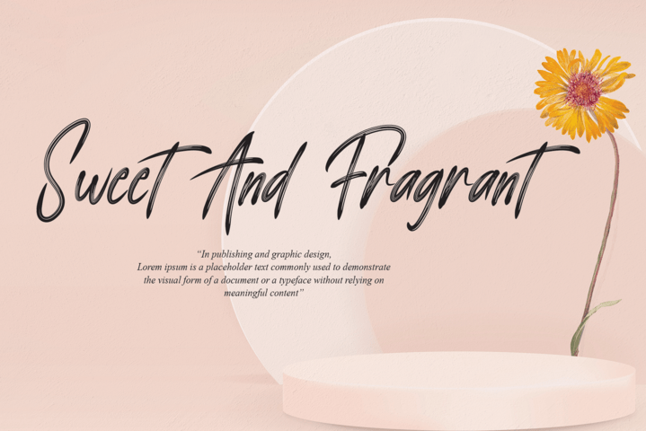 The Romantic Font preview image 3
