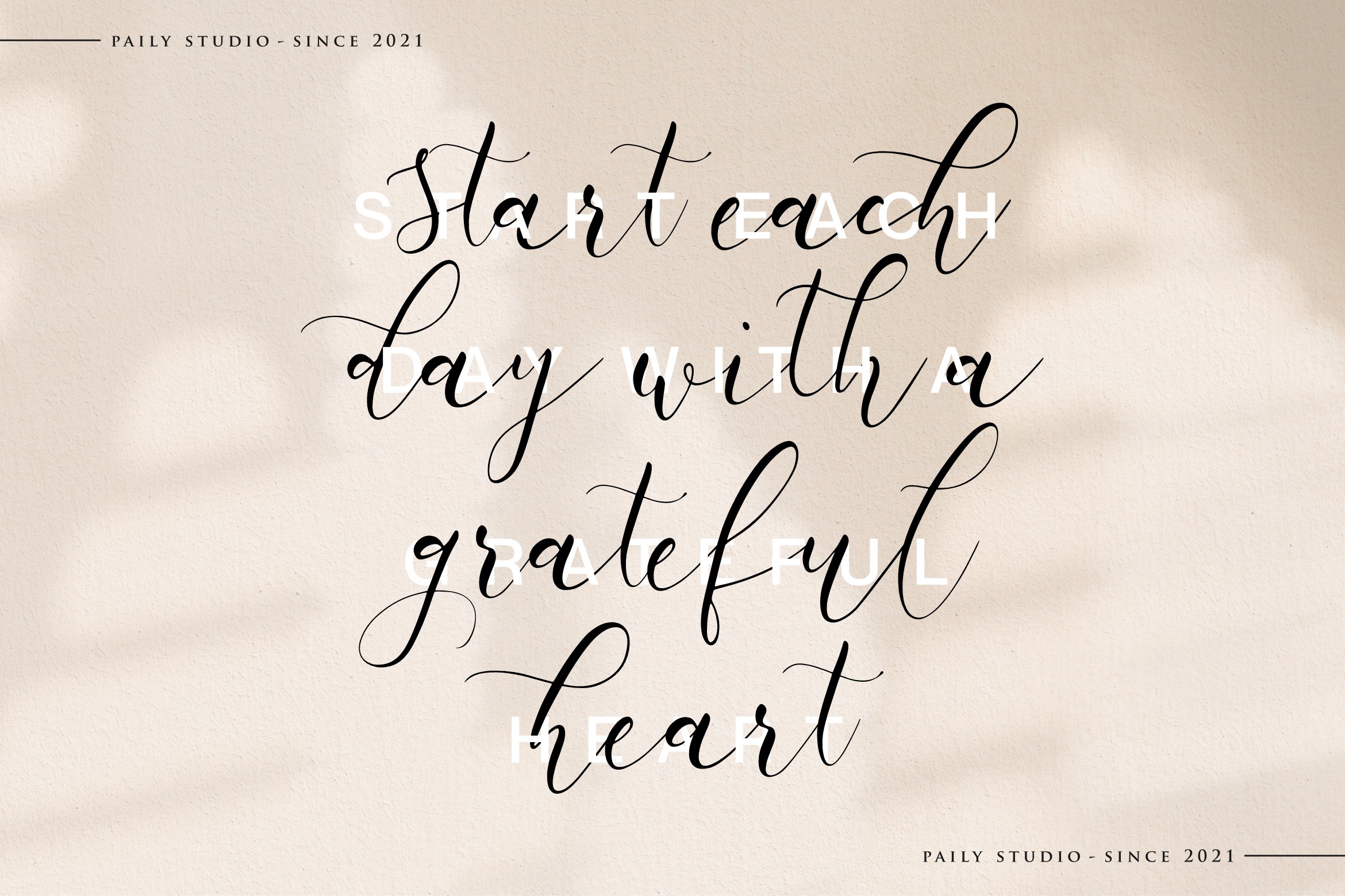 White Carley Calligraphy Font preview image 3