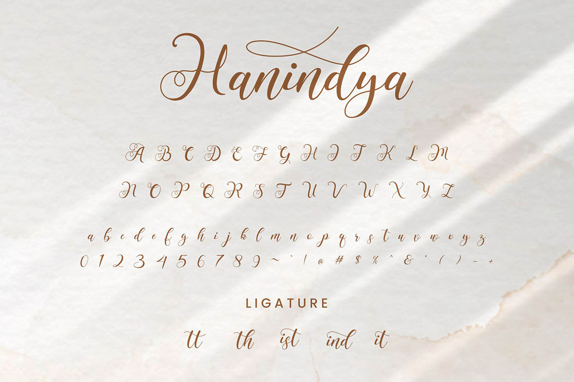 Hanindya Font preview image 4