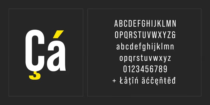 Bebas Neue Pro Font preview image 3
