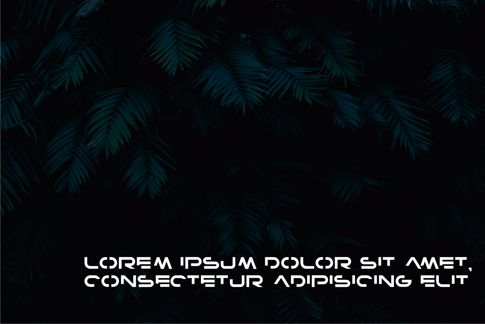Denam Font preview image 2
