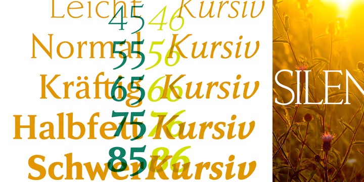 Faber Serif Pro Font preview image 3