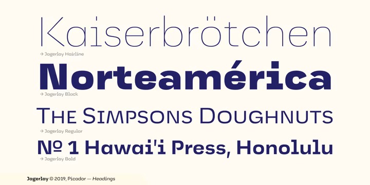 Jagerlay Font preview image 3