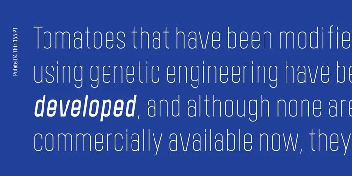 Polate Font preview image 4
