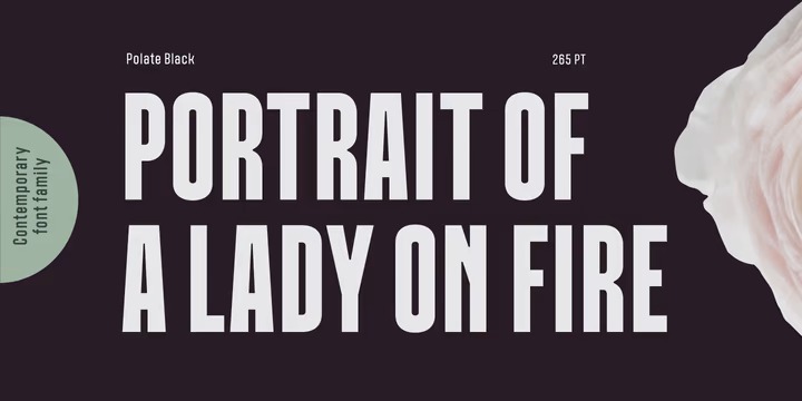 Polate Font preview image 3
