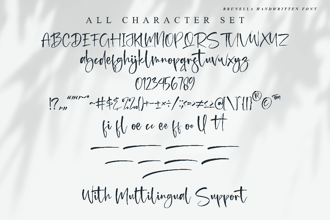 Brunella Font preview image 5