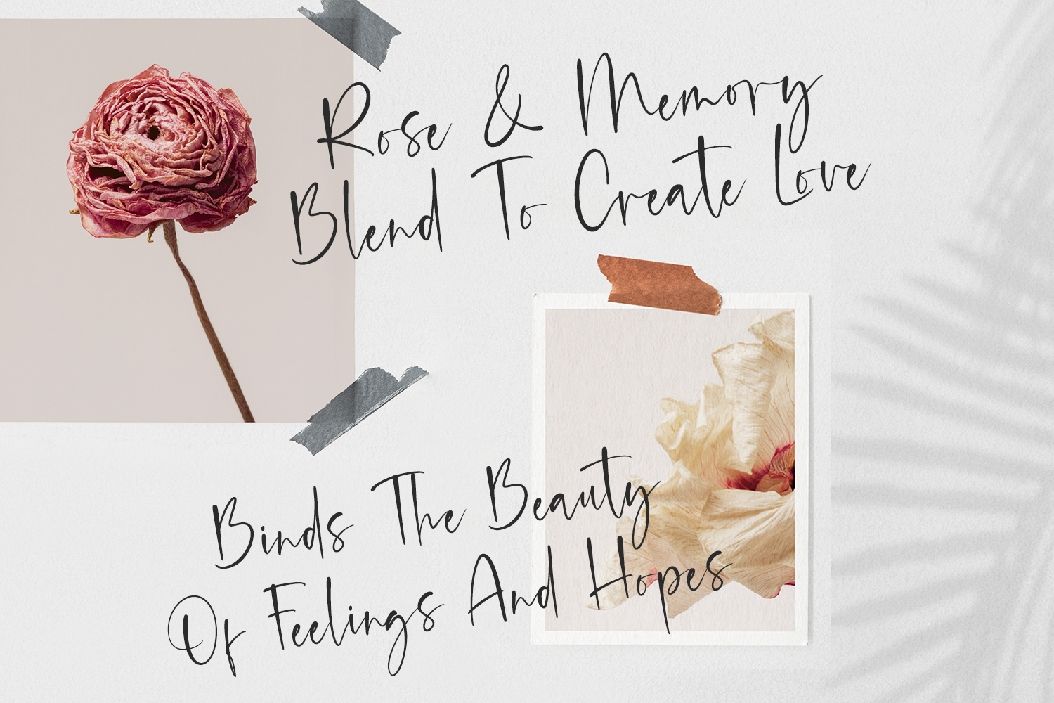 Radiants Font preview image 3