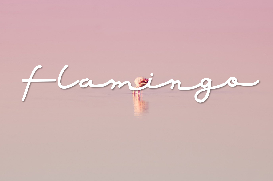 Red Grape Font preview image 2