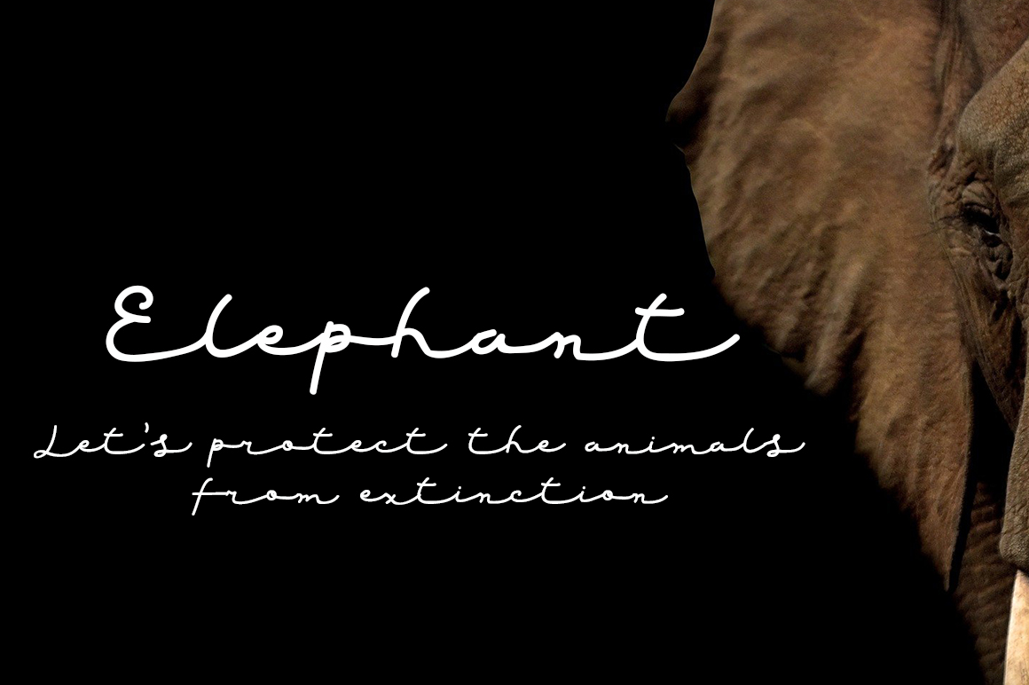 Red Grape Font preview image 3