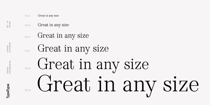TT Barrels Font preview image 3
