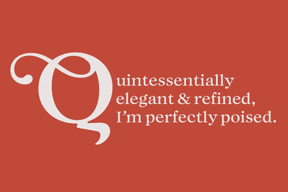 Audacious Font Family preview image 3