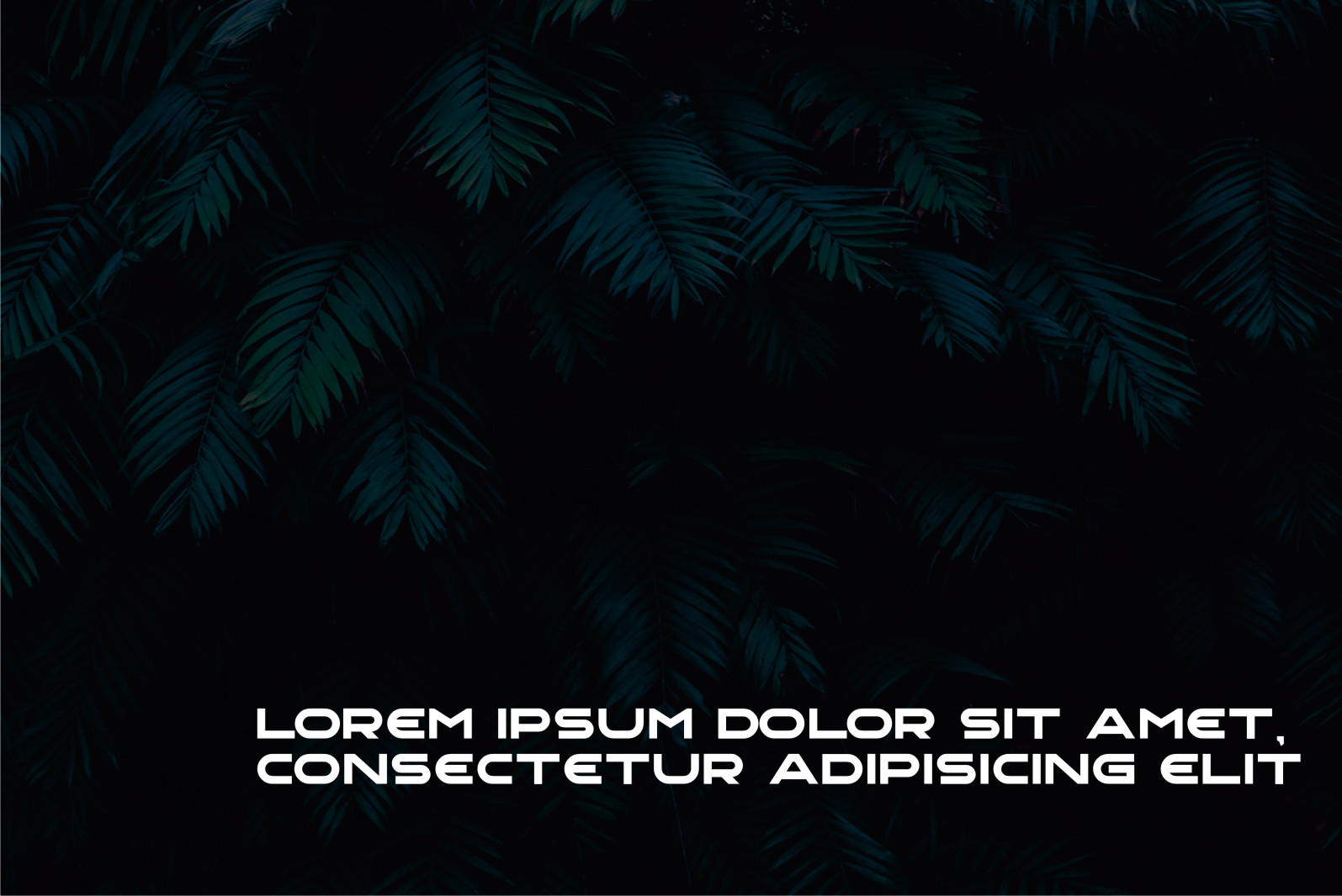 Gawal Font preview image 3