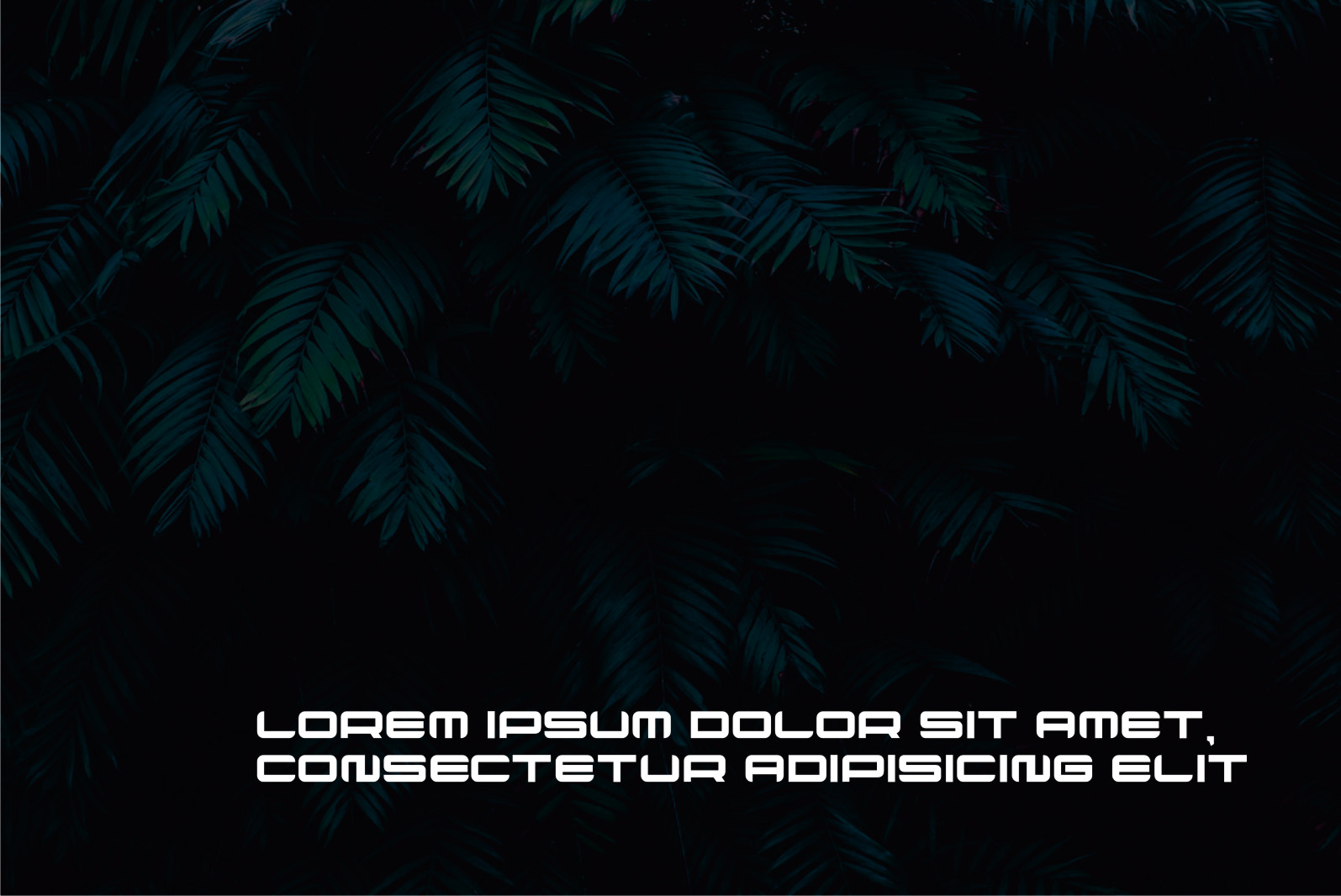 Koprac Font preview image 3