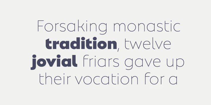 Natom Pro Font preview image 3
