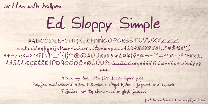 Ed Sloppy Handwritten Font preview image 2