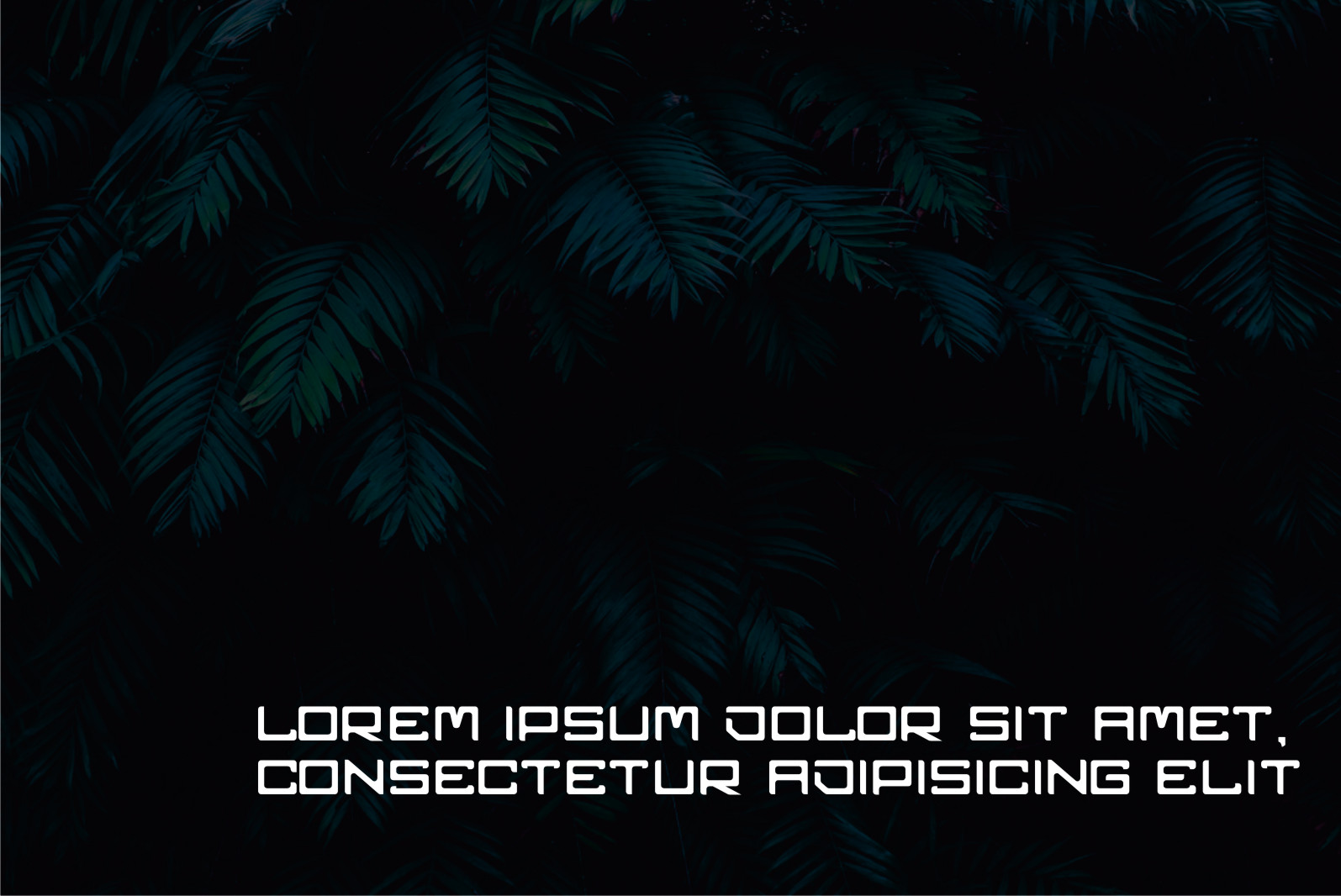 zeora Font preview image 2