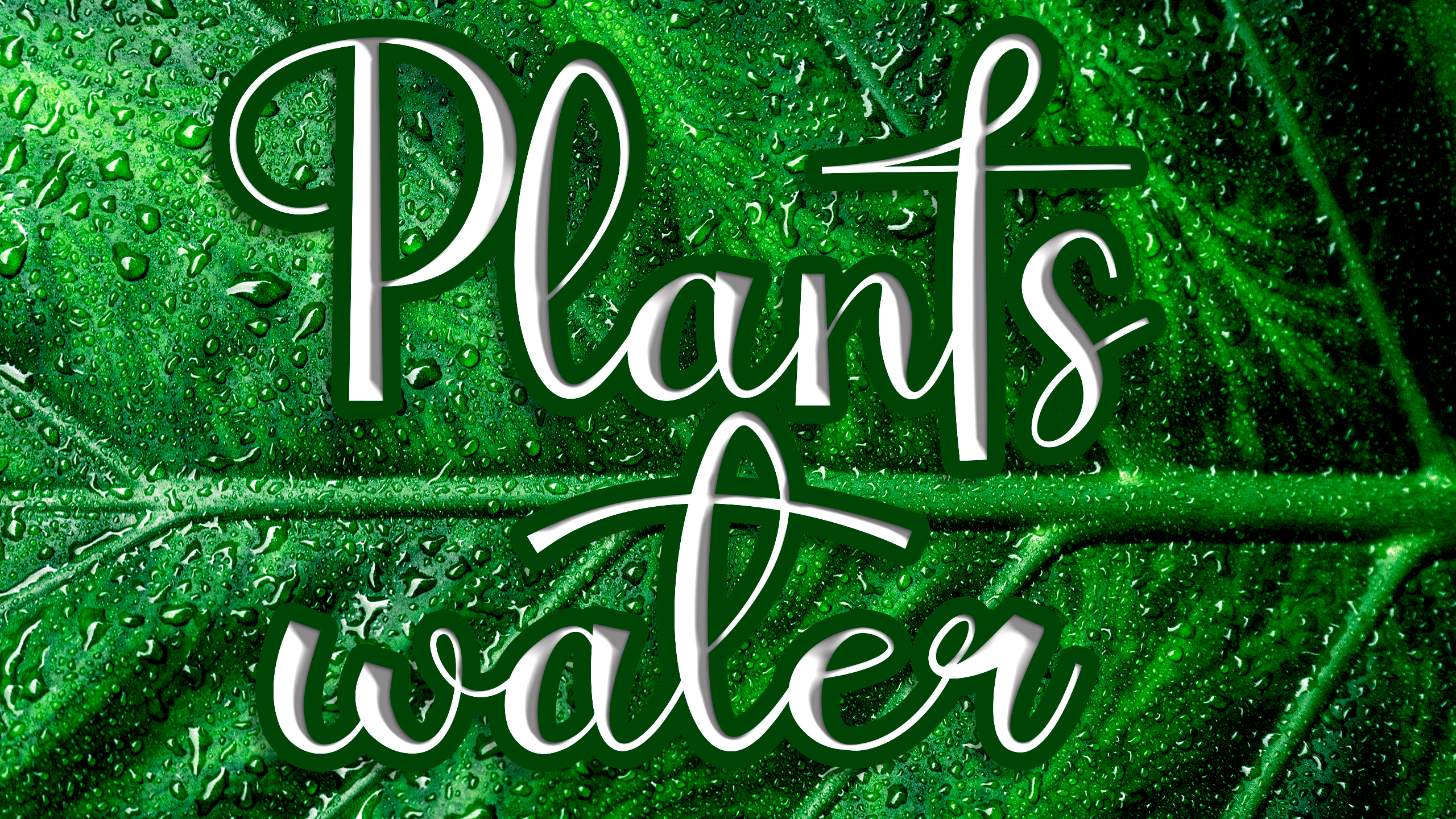 Plants Water Script Font