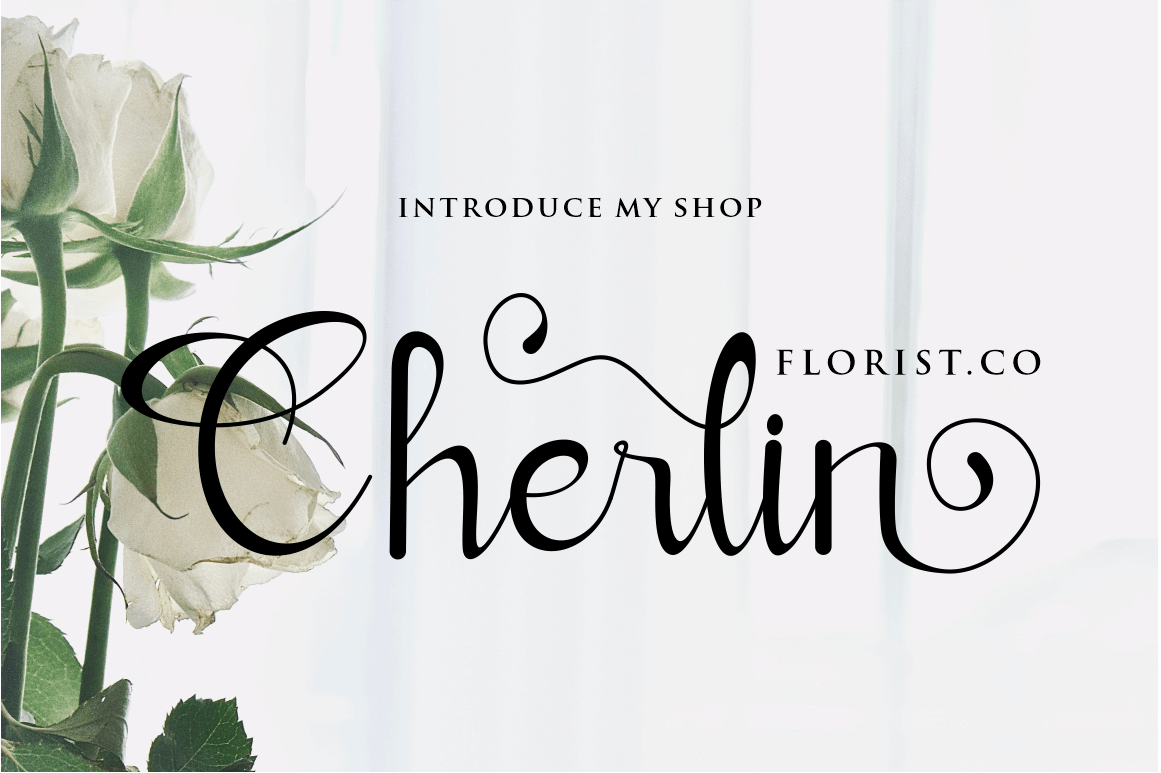 Verllina Font preview image 2