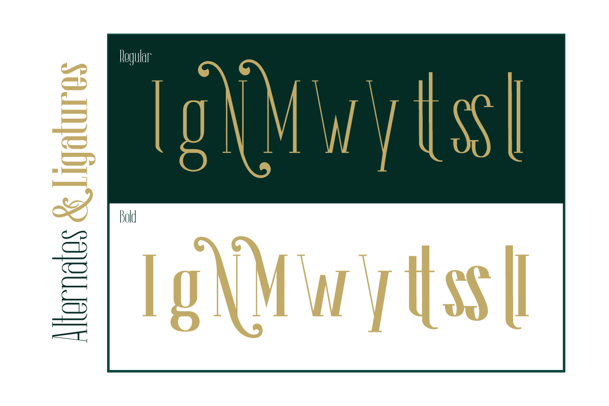The Lingke Font preview image 2