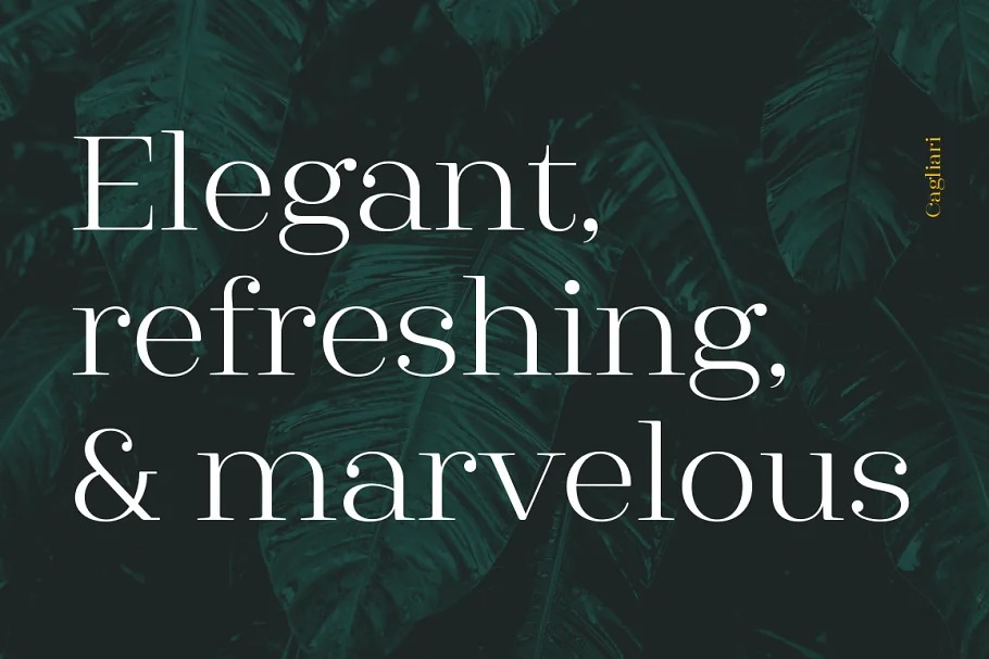 Cagliari Font preview image 3