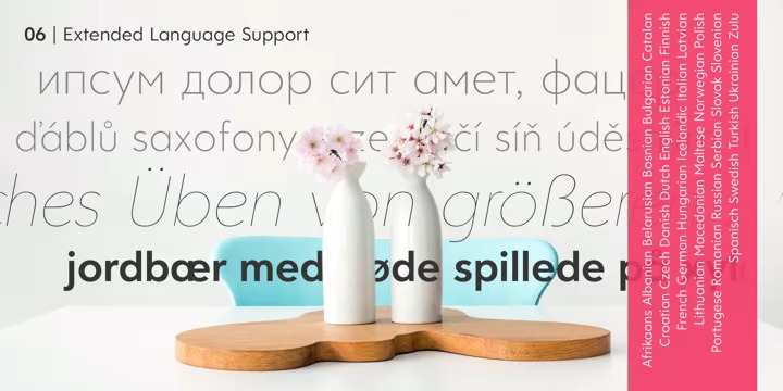 Clarika Pro Font Family preview image 3
