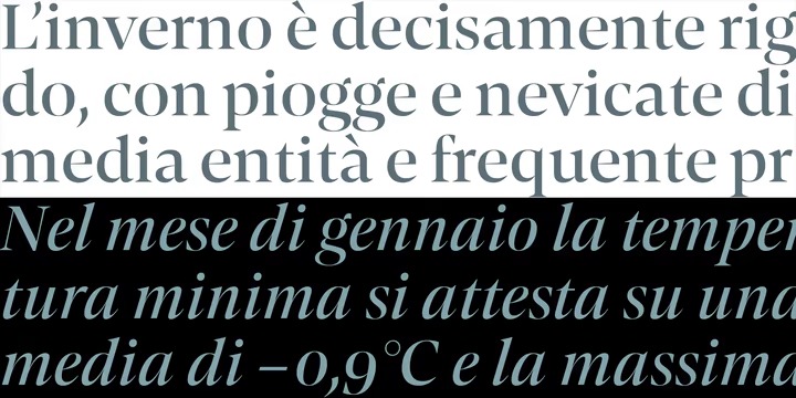 Contane Font Family preview image 2