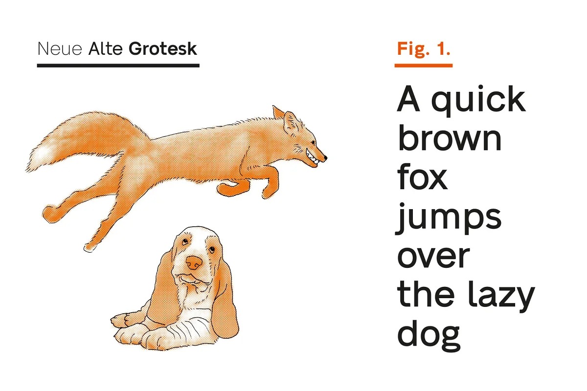 Neue Alte Grotesk Font Family preview image 2