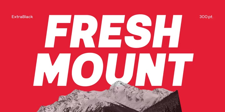 Prayuth Font Family preview image 4