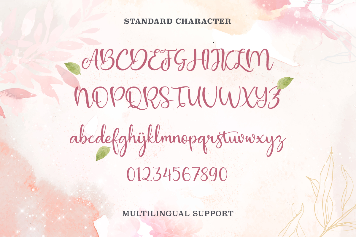 Allana Beauty Font preview image 5