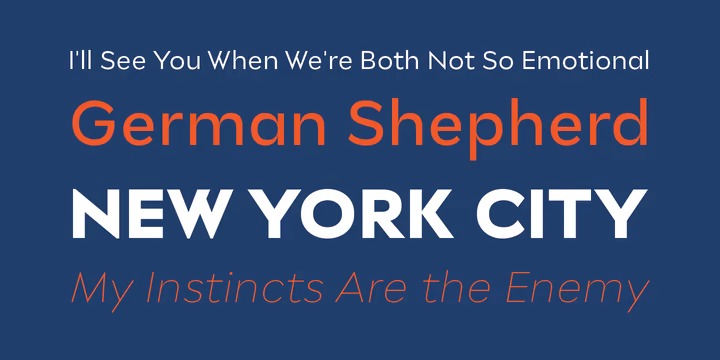 Stray Font Family preview image 4