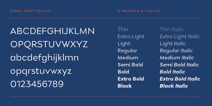 Stray Font Family preview image 2