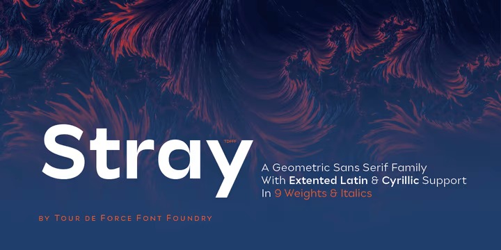 Stray Font Family preview image 1