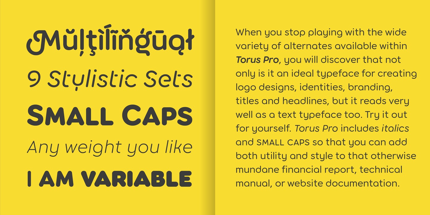 Torus Pro Font preview image 3