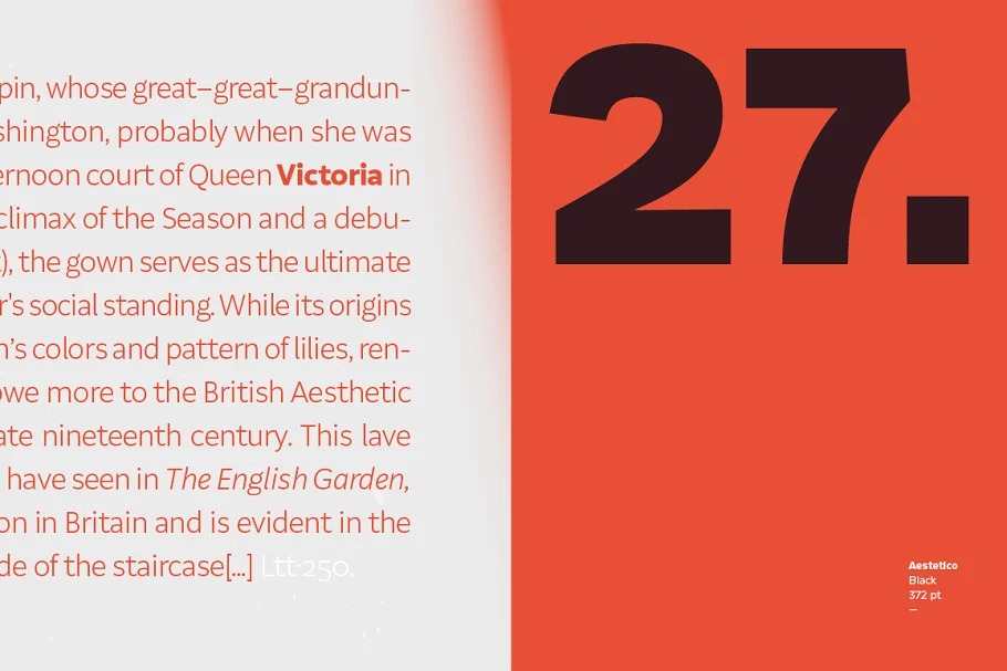 Aestetico Font Family preview image 3