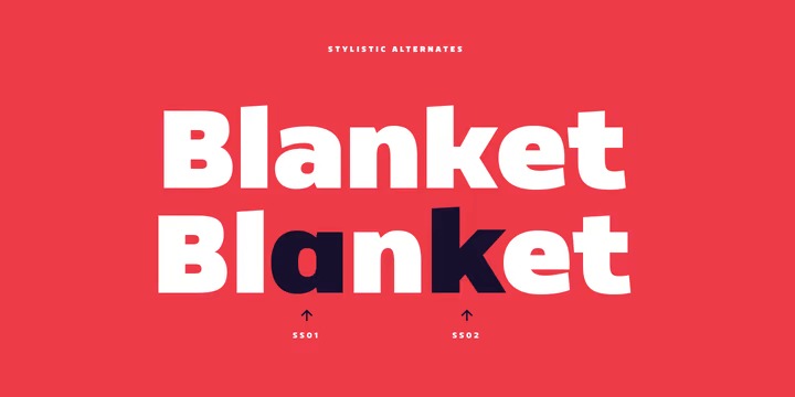 Dillan Font Family preview image 4