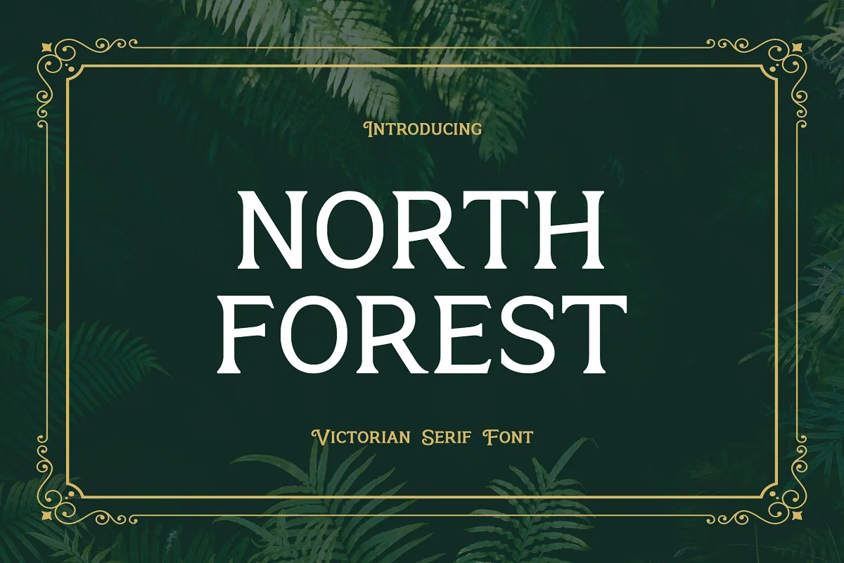 North Forest Display Font