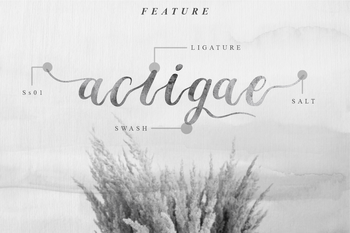 Bestiful Modern Calligraphy Font preview image 2