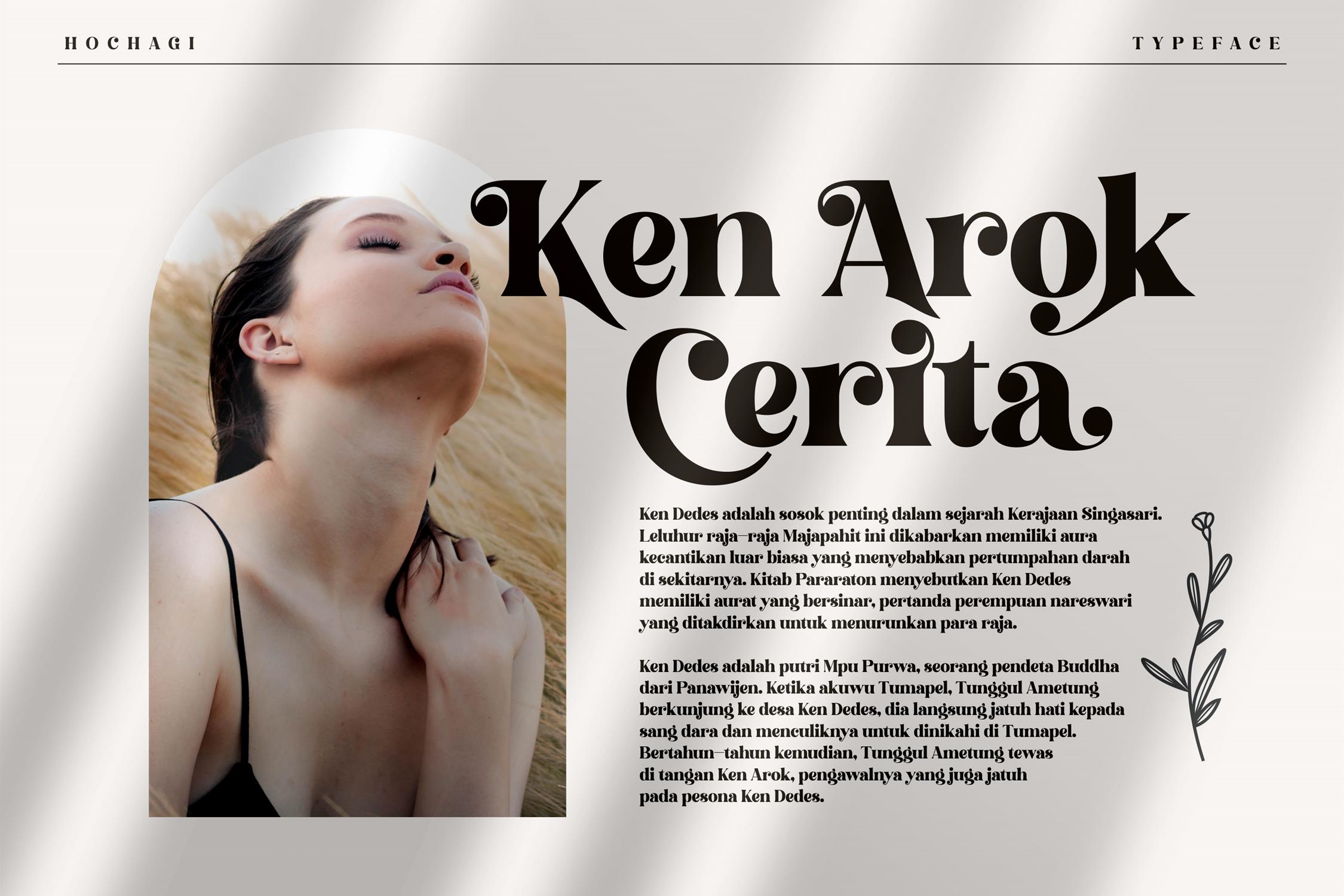 Hochagi Classy Serif Font preview image 2