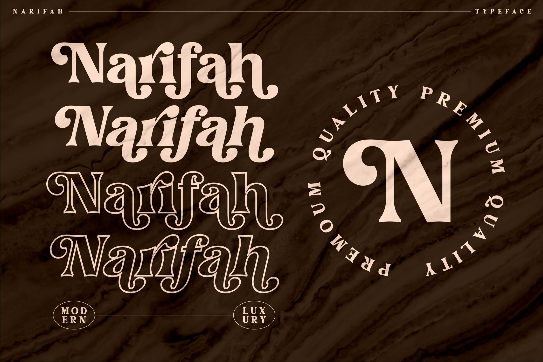 Narifah Modern Serif Font preview image 2