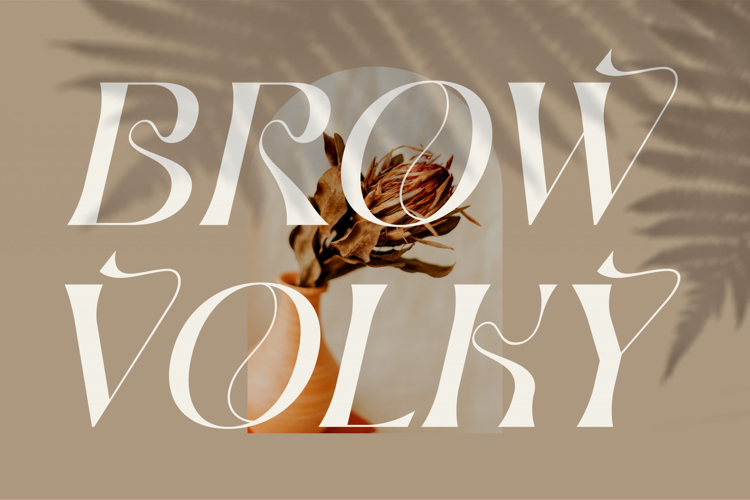 BROW VOLKY Serif Font preview image 2