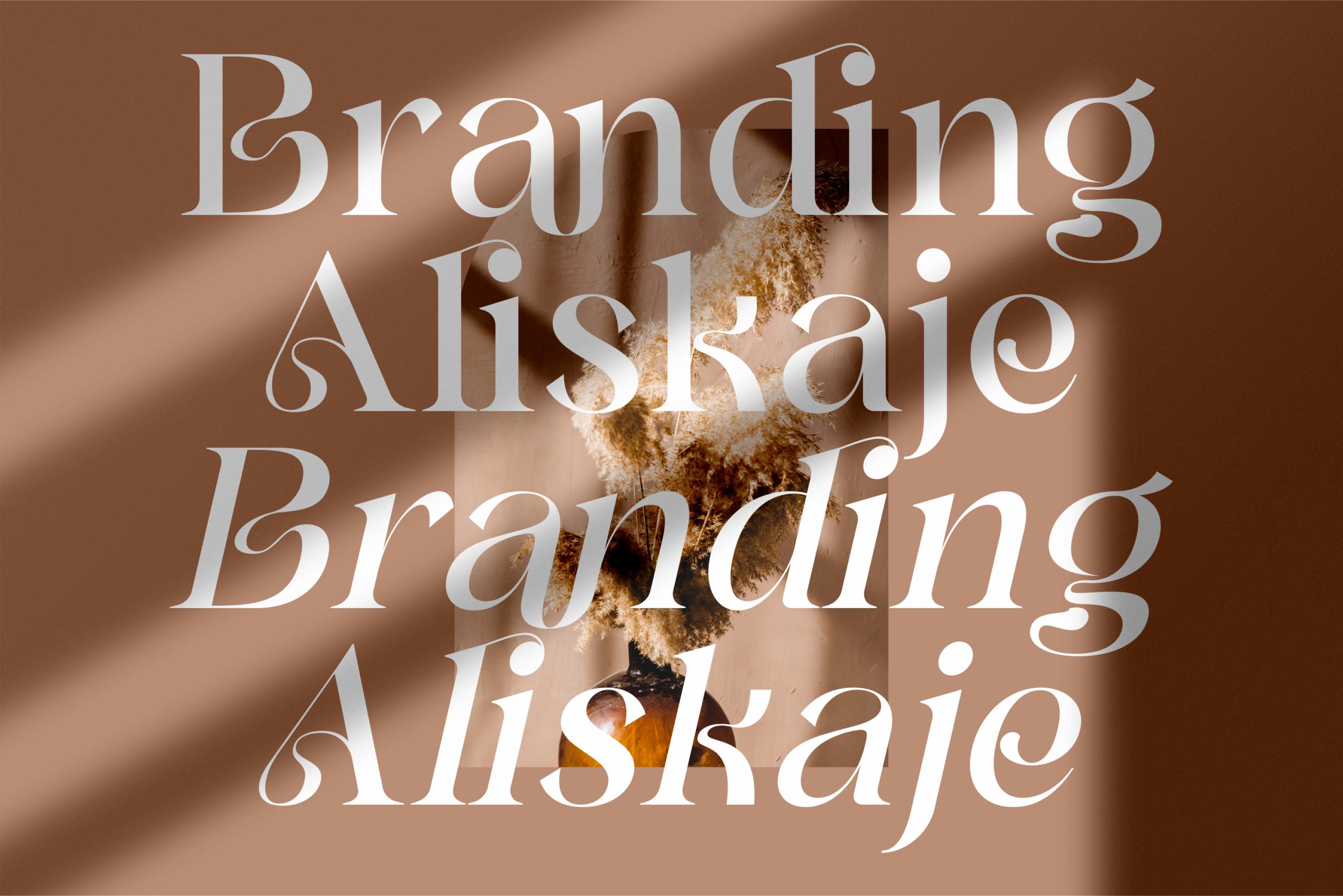 Branding Aliskaje Serif Font preview image 2