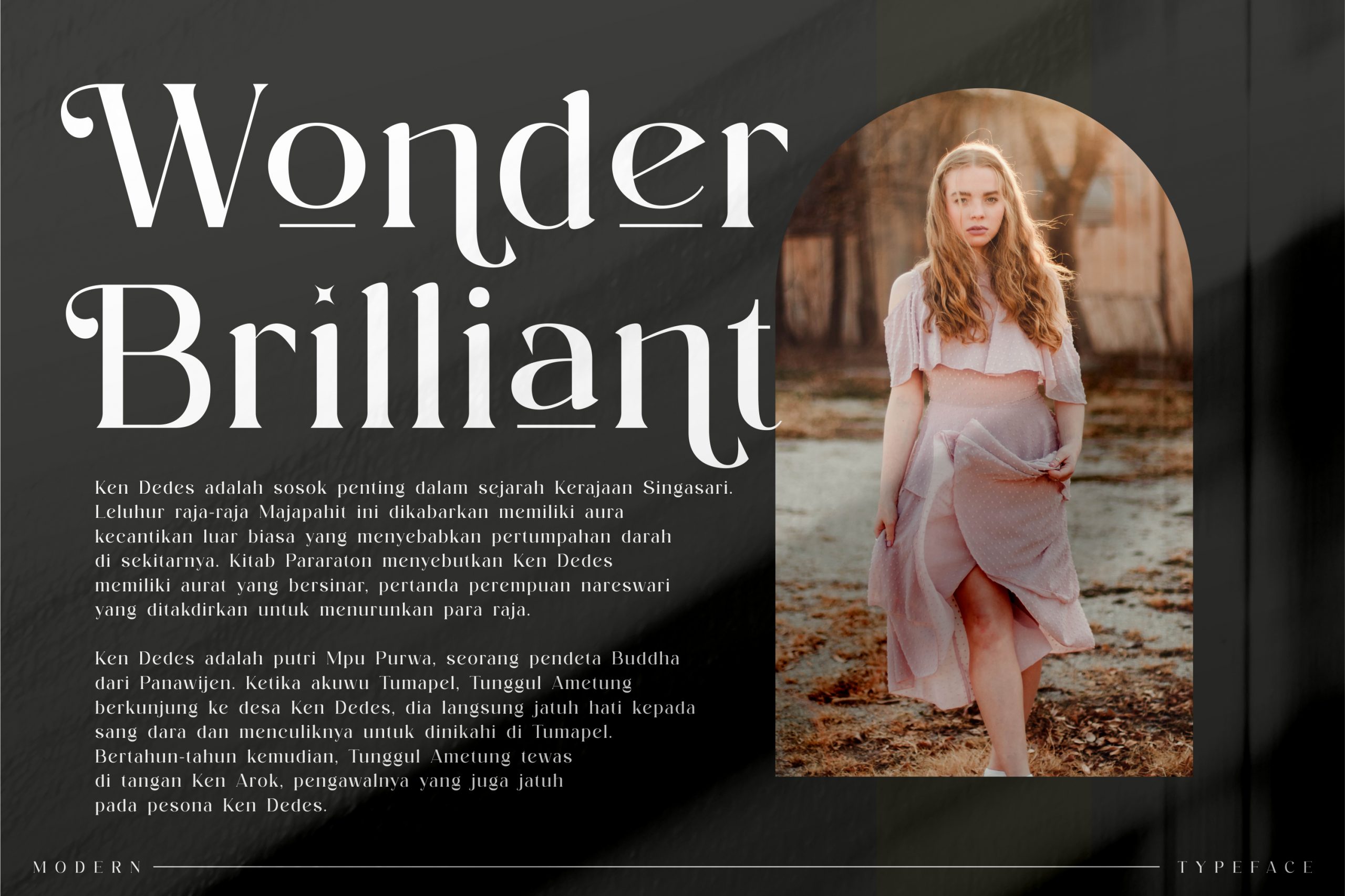 Aftesto Serif Font preview image 2