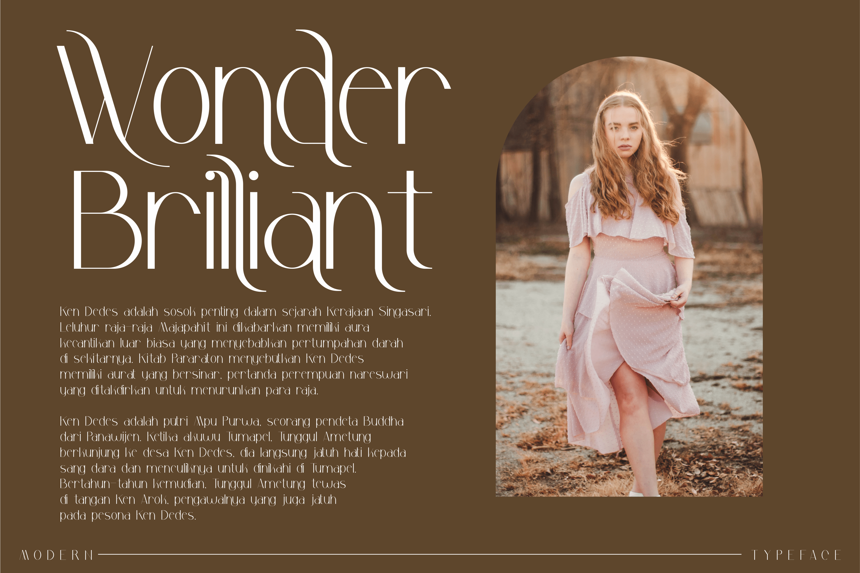 Safira Elegant Serif Font preview image 2