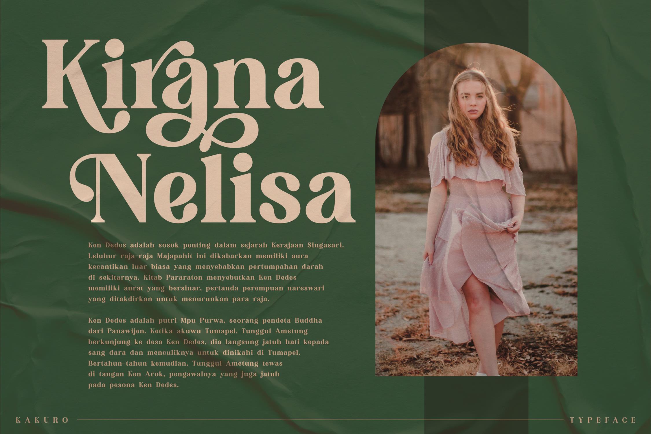KAKURO Classy Serif Font preview image 3