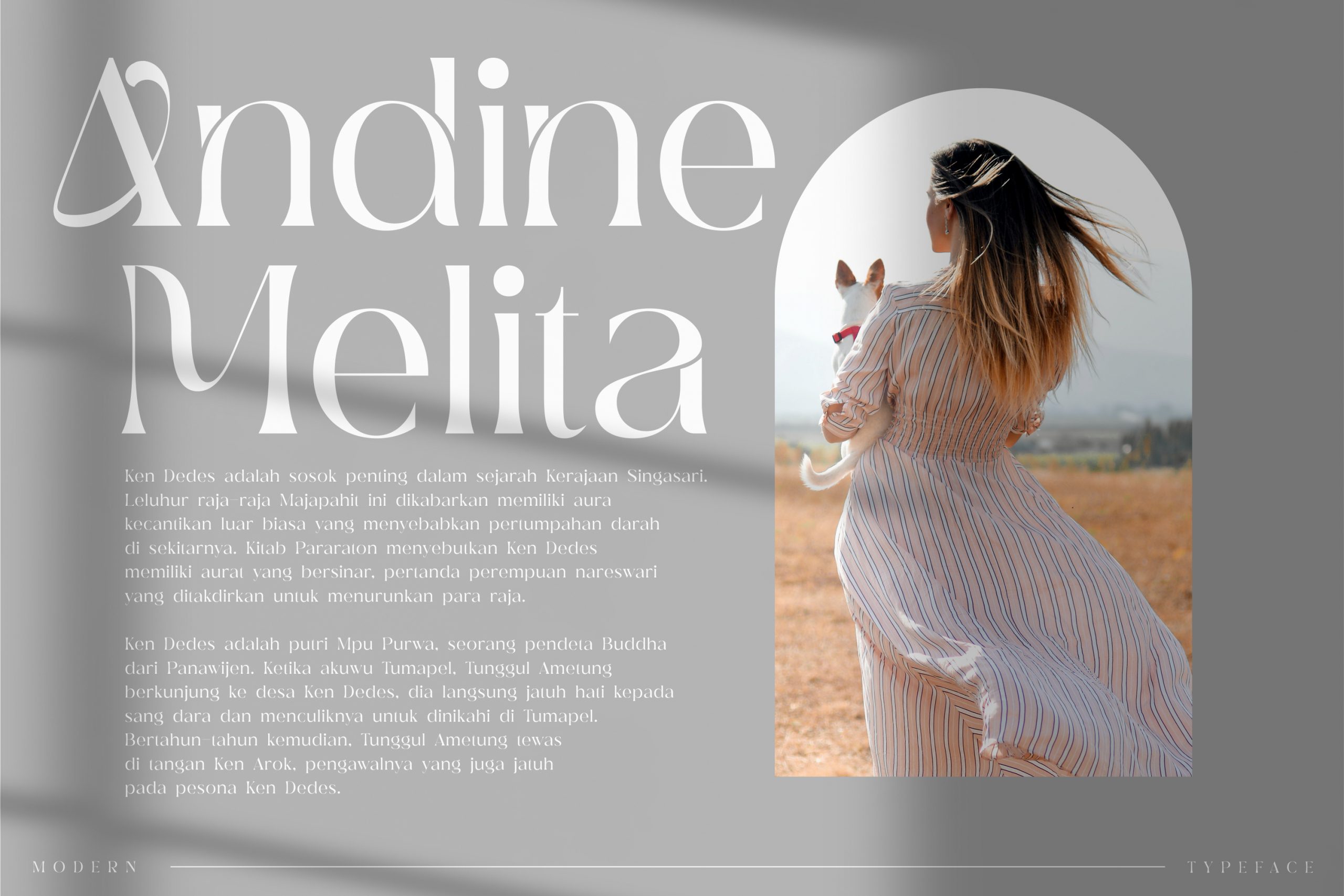Deraga Serif Font preview image 3